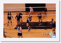 vs THigh * (348 Slides)